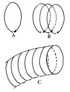 second diagram test 1