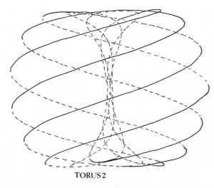 torus2